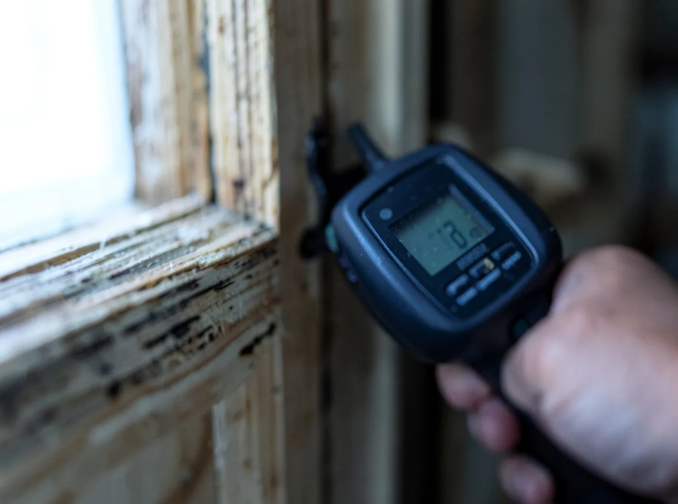 Moisture Inspection And Documentation in Port Allen, LA